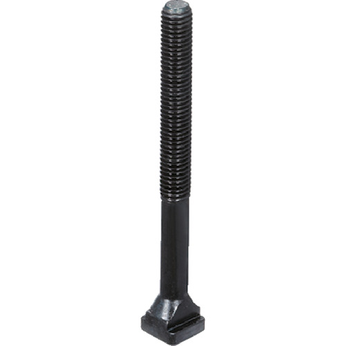 Halder T-Bolt DIN 787强度级8.8 T-Groove宽度42 M36 x 600
T螺栓 23030.0424