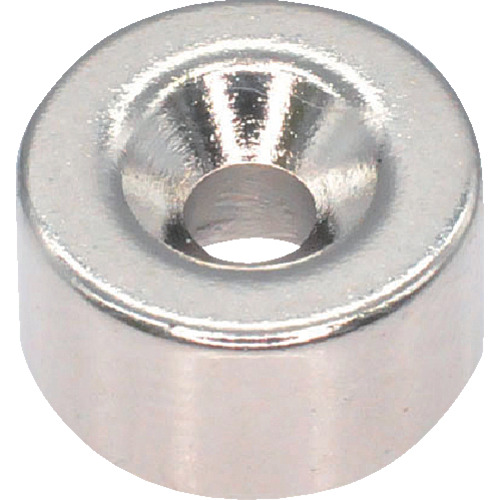 带板螺钉孔外径9mm x 5mm m2 1pc
带有圆形倒计时螺丝孔的霓虹磁铁 T09R05-M2