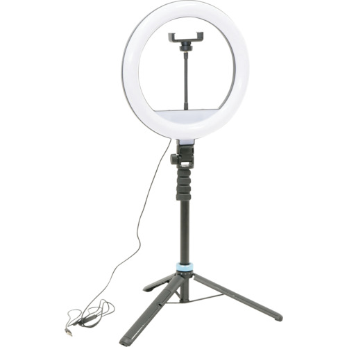  STALIGHT12
