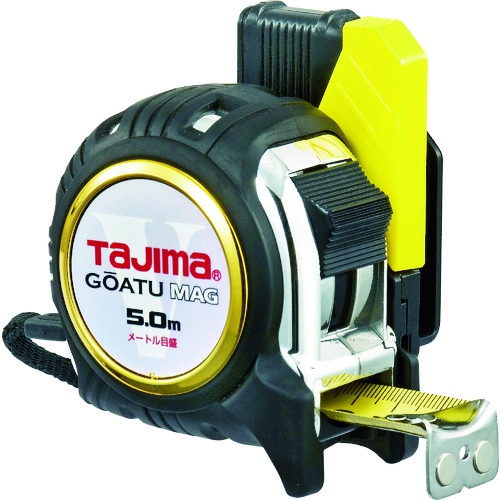  GASFGLM2550