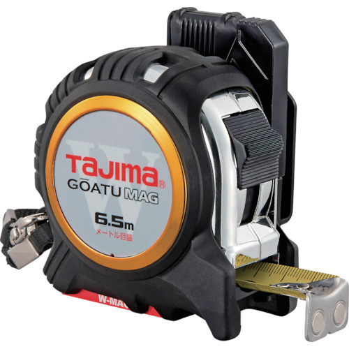  GASFGLWM2565