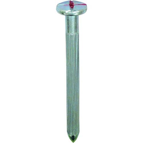 戴上主要指甲（测量指甲）04 9 x 100带红色标记（50件）
大型指甲指甲No.04 00008215