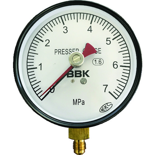 BBK 1/4耀斑型压力表 AF10070