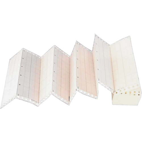 Kobayashi创建记录纸100-050-010（匿名公司）包括10卷
100-050-010（没有名称） 2315195060
