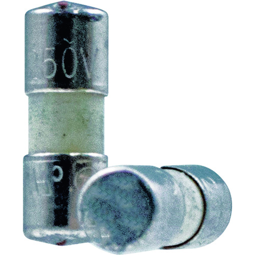 ＣＵＳＴＯＭ　交换用ヒューズ１０Ａ（ＣＤＭ―３６用）　２个入　
F    DMF-3610