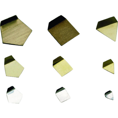 ＶＩＢＲＡ　Ｅ２ＰＳＯ－２Ｍ：ＯＩＭＬ型板状分铜　小质量　２ｍｇ　Ｅ２级　ＪＣＳＳ校正付　
Polygon Weight(Stainless) E2PSO-2M