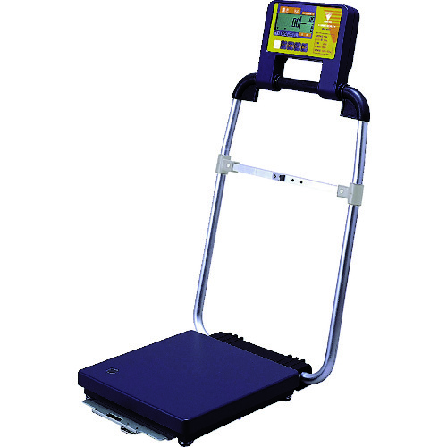 [停止] Teraoka方便量表
便携式秤 DS-865