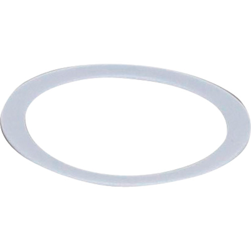 NWPS-254的Sibata PTFE垫圈，10件
NWPS-254的PTFE垫圈 080150-2543