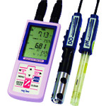 TGK便携式溶解氧/pH仪DM-32P 606-80-75-29