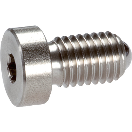 Halder Spring柱塞球，头部，六角形孔，不锈钢
春柱 22030.0943