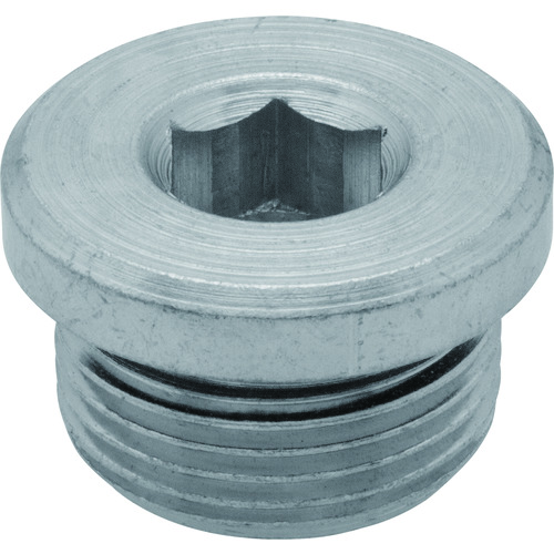 Kipp螺丝塞（钢） SPS-1/2