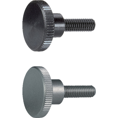 Halder Long Head Nerd Bolt Din 464钢
长头螺栓 24790.0171