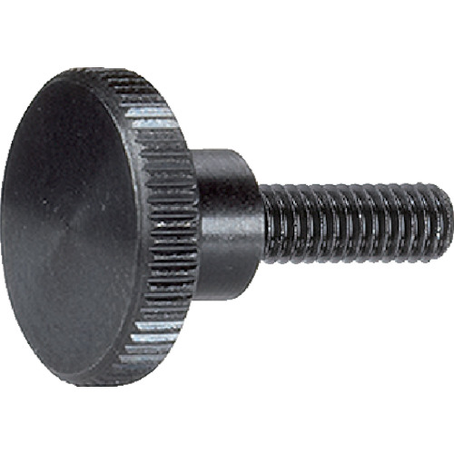 Halder Long Head Nerd Bolt Din 464钢
长头螺栓 24790.0173