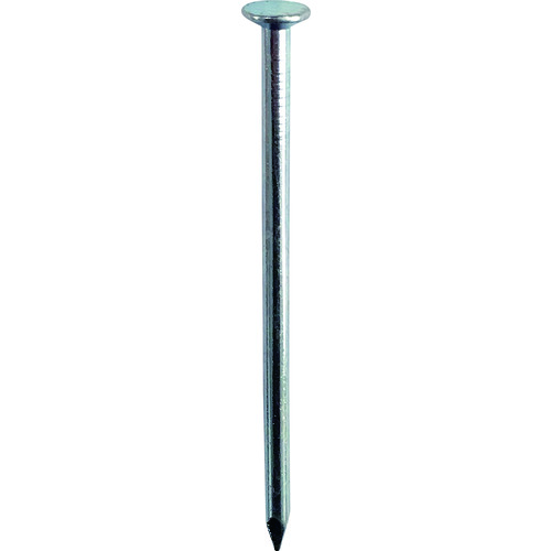 ＤＡＩＤＯＨＡＮＴ　丸钉　１ｋｇ　Ｎ７５　
Round Nail 00051009