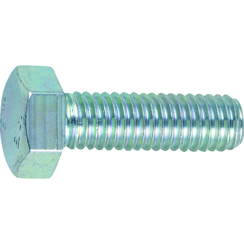 trusco六边形螺栓三价白色所有螺钉M20 x 40 2件
Cormic Hexagon头螺栓 B722-2040