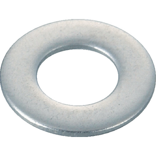 Trusco Flat Washer Whit不锈钢W3/8 36件
平坦的洗衣机 B27-0318