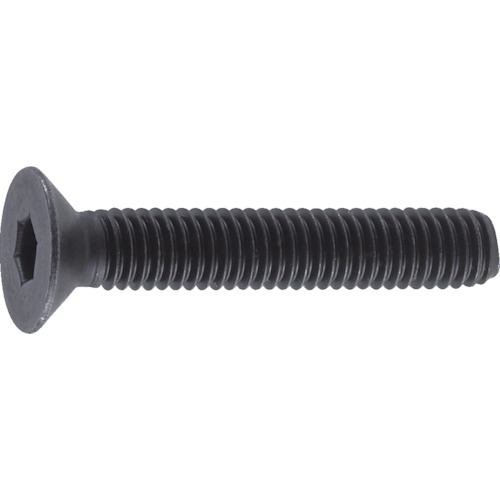 trusco六角形插座盘螺栓，黑色染色，所有螺钉，m10 x 30，16件
六边形插座平头螺栓 B73-1030