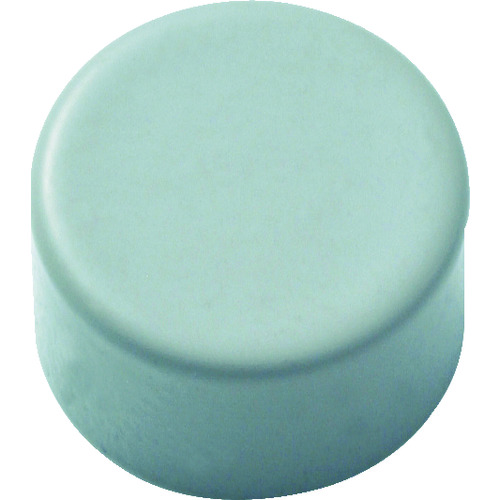 [停产] Trusco Point螺钉帽φ8镍50件
点VIS帽 VC-AA015