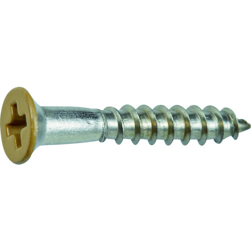 [有限的库存] Trusco不锈钢木螺钉板头M2.4 x 16米色（45件）
彩色不锈钢木头头螺钉 SCWS-2416BE