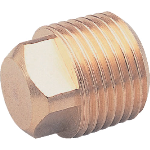 Asoh Square Plug PT1/4 NP-1002