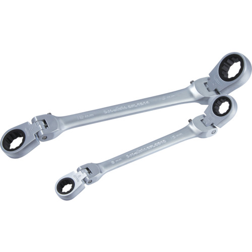 Pro-Auto双弹性锁齿轮扳手10x12mm DFL1012