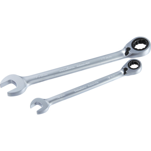 Pro-Auto反向齿轮扳手19mm RGW-19