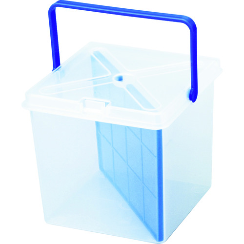 戒指明星Bis Jr. Clear BT-170 BT-170-C