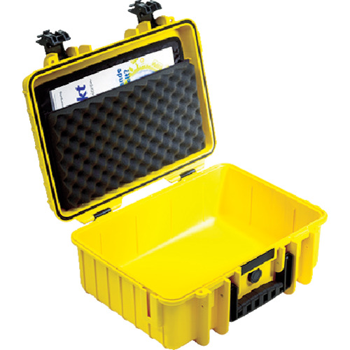 [有限的股票] B＆W 6000的文档持有人 LP/6000