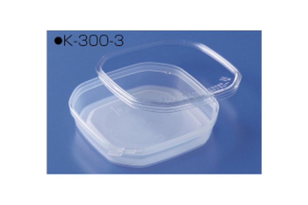 Sun Case K300-3主盖集200289-00