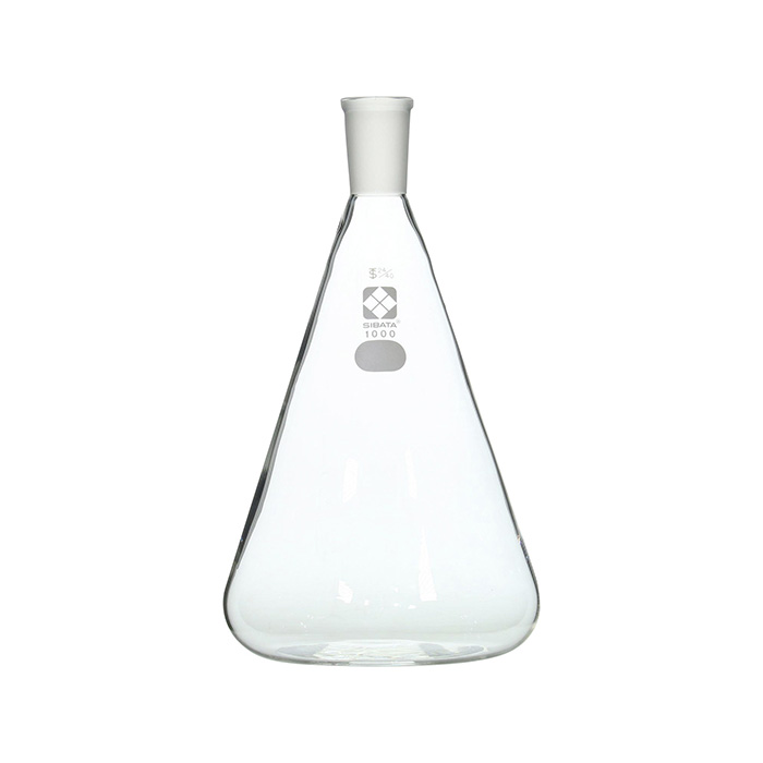 普通滑动Erlenmeyer亚麻1L 24/40 005510-241