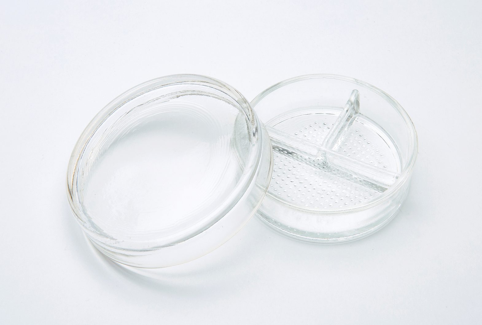 Horiuchi Seisakusho 30％培养皿，小G-17/B 69x22mm