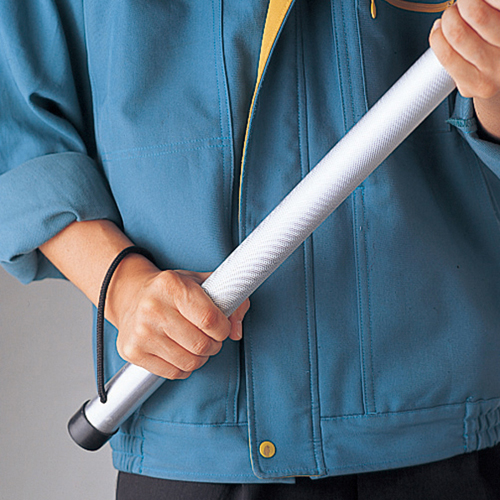 刺股 刺股－２   352052