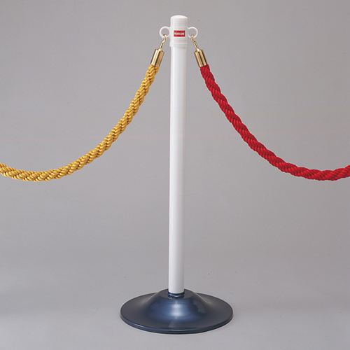 指南指南4 329040