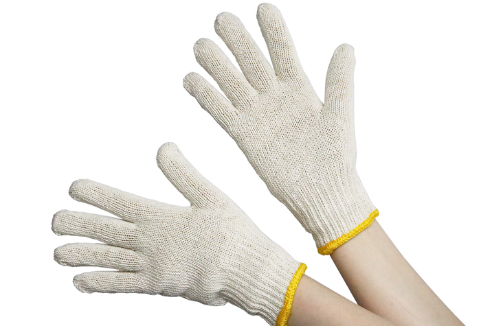 日本的100号尺寸免费（包括12双）