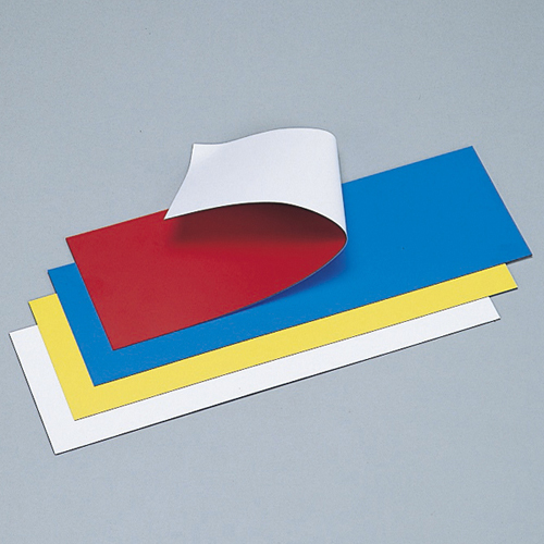 MAGNE双色表磁版WW 312330