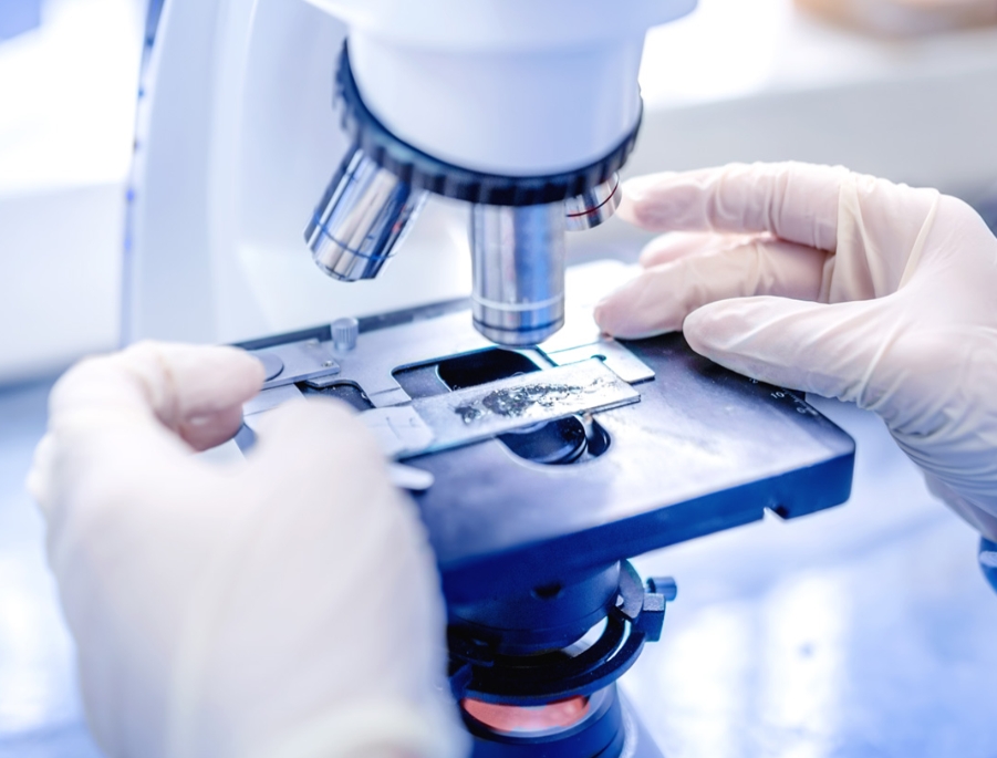 研究和实验用品