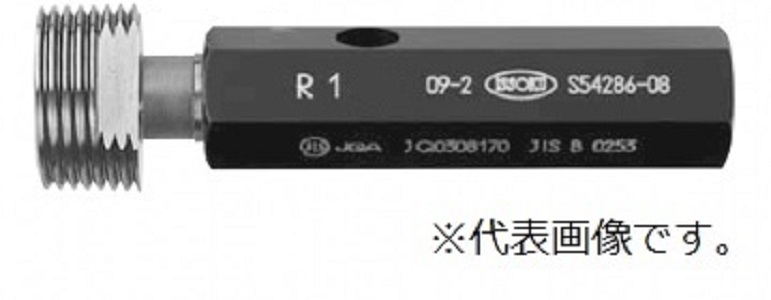 管道锥形螺钉插头RCR-P 1/8