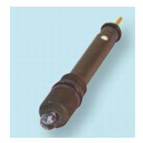 pH电极（玻璃）芯片HGS-300