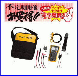 Fluke 116 [停产的产品] 10302_FUTE