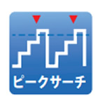 DS1B-SRH搜索触发函数DCS1000B选项 20932